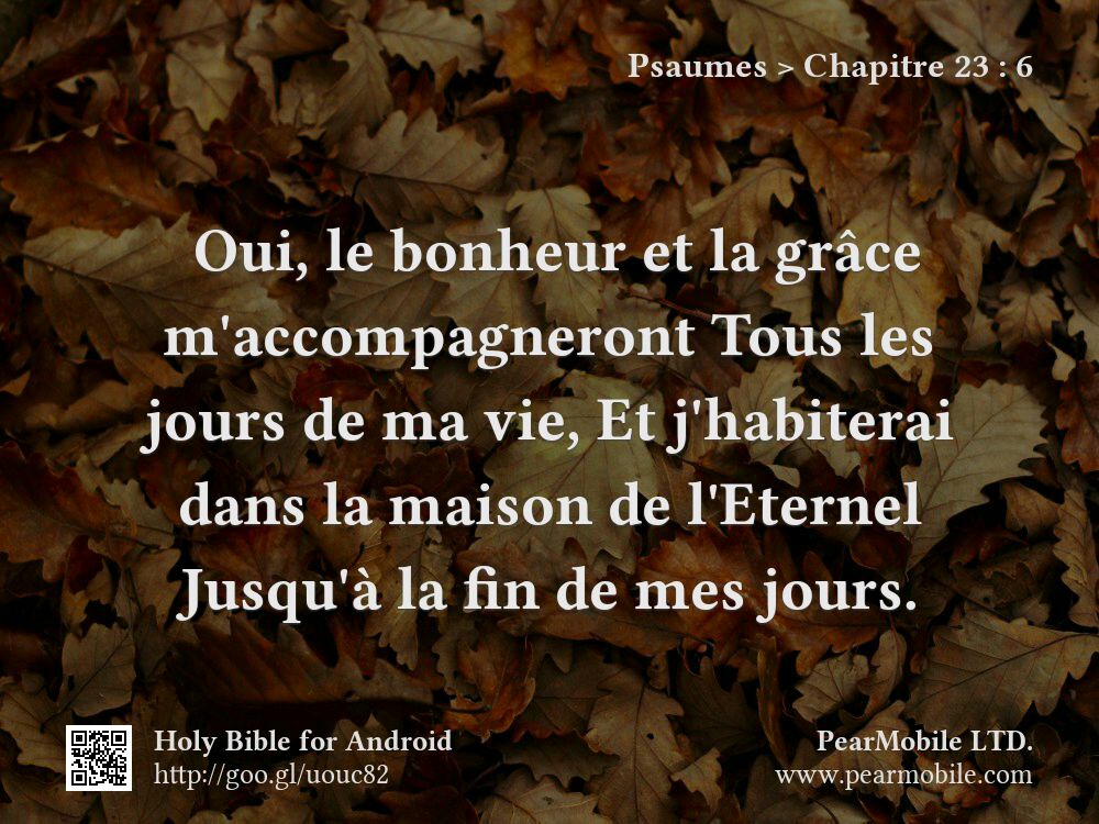 Psaumes, Chapitre 23:6